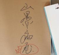 (日・仏文)山口晃とあるニッポン博覧会〈サイン入り〉 Akira Yamaguchi