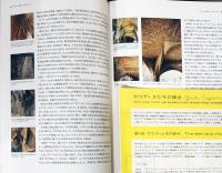 ガウディかたちの探求　Gaudi. Exploring Form