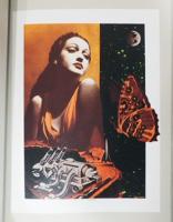 ハリウッド・スターダスト