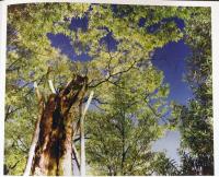 勝又公仁彦写真集　Remains