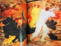 (英独仏文)アリク・ブラウアー作品集　多彩色の壁【Brauer Bunte Mauer】