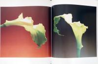 （英文）ロバート・メイプルソープ　フラワーズ【Robert Mapplethorpe: Flowers】