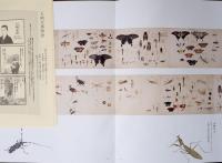 生誕140年　石崎光瑶　ISHIZAKI Koyo