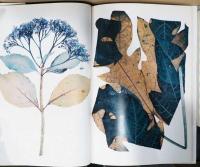 （英文）ニック・ナイト写真集 フローラ【Nick Night : Flora】