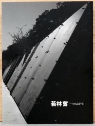 若林奮　Isamu Wakabayashi: Valleys