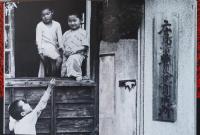 土門拳写真集　生きているヒロシマ