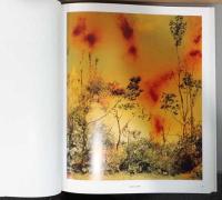 (英文)ヴォルフガング・ティルマンス写真集　上空からのながめ【Wolfgang Tillmans: View from Above】