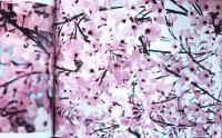 (英文)トーマス・デマンド写真集　ブロッサム【Thomas Demand: Blossom】
