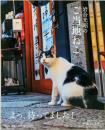 岩合光昭のご当地ねこ