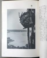 Amatuchi Kosaku 天地耕作
