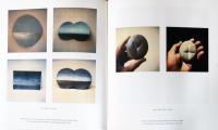(西・英文)マーカス・レエツ　ポラロイド作品【Markus Raetz : Polaroids 1978 - 1993】