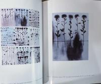 (英文)杉浦邦恵展　タイム・エミット　Kunie Sugiura