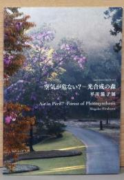 平川滋子展　空気が危ない？　光合成の森