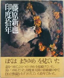 藤原新也写真集　印度拾年