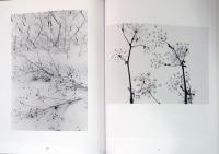 清岡惣一の世界　Soichi Kiyooka Photographs