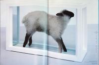 (英文)YBA(ヤング・ブリティッシュ・アート)とサーチ・ギャラリーの10年【Young British Art: The Saatchi Decade】