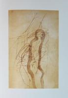 (独文)ヨーゼフ・ボイス作品集　後期版画作品【Joseph Beuys : Spate Druckgraphik】