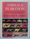 （英文）エドワード・マイブリッジ写真集　動物の動き【Eadweard Muybridge : Animals in Motion】