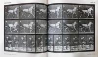 （英文）エドワード・マイブリッジ写真集　動物の動き【Eadweard Muybridge : Animals in Motion】