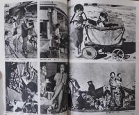 アサヒカメラ　1978年4月号増刊　日本の写真史に何があったか　アサヒカメラの半世紀の歩み