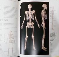 （英文）新・人体解剖図【New Atlas of Human Anatomy】