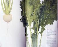 踊る野菜　Dancinig　Vegetables