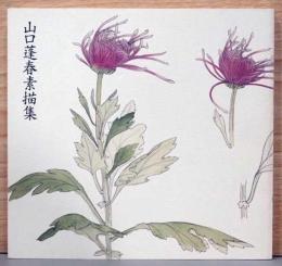 山口蓬春素描集　改訂版