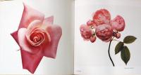 (英文)アーヴィング・ペン写真集　フラワーズ【Irving Penn : Flowers】