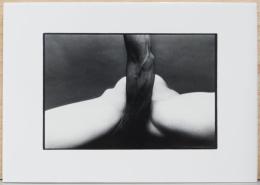 細江英公　展覧会のための写真集　「抱擁」と「薔薇刑」　EIKOH HOSOE : Embrace and ordeal By Roses