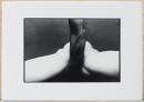 細江英公　展覧会のための写真集　「抱擁」と「薔薇刑」　EIKOH HOSOE : Embrace and ordeal By Roses