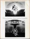 (英文)プライベート・リアリティー　アメリカの現代写真【Private Realities: Recent American Photography】