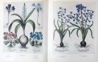 (英文)バシリウス・ベスラー植物図譜　アイヒシュテット庭園【Basilius Besler's Book of Plants, The Garden at Eichstatt】
