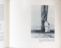 (英文)メキシコのエドワード・ウェストン【Edward Weston in Mexico, 1923-1926】