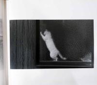 渡里彰造写真集　Personal View　視線の範囲(サイン入り)