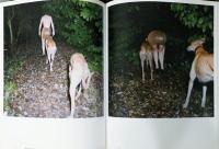 (英文)アンナ・フォックス写真集　フォトグラフス【Anna Fox : Photographs 1983-2007】