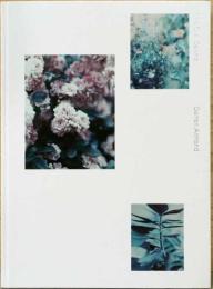 ダレン・アーモンド写真集　The Civil Dawns