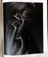 杉本博司写真集　光の自然　Hiroshi Sugimoto: Nature of Lighe