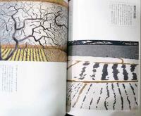 奥村厚一　光の風景画家　Okumura Koichi; The Master in Sceneries of Light