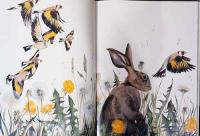 (英文）ジャッキー・モリス絵本　ザ・ロスト・ワーズ【Robert Macfarlane and Jackie Morris : The Lost Words A Spell Book】