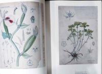 牧野富太郎と植物画展　ボタニカルワールドへのいざない
