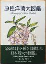 原種洋蘭大図鑑　Treasury of Native Orchids
