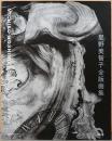 星野美智子　全版画集　Michiko Hoshino: Catalogue Raisonne