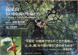 高尾山　ちいさな山の生命たち