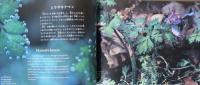 高尾山　ちいさな山の生命たち