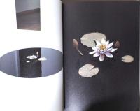 須田悦弘展　Yoshiro Suda