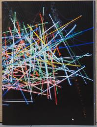 大竹伸朗展　ニューニュー　Shinro Ohtake: New New
