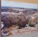 （英文）ジョン・ガニス写真集　圧倒的アメリカン　ランドスケープ【 John Ganis : Consuming the American Landscape】