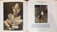 （仏文）19-20世紀　花の写真集　ボタニカ【Botanica : Photographies de vegetaux au XIXe et XXe siecle】