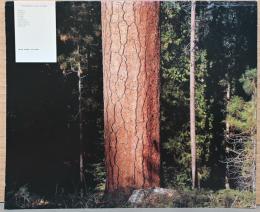 (英文)ミーシャ・デ・リダー写真集　ウィルダネス【Misha de Ridder : Wilderness】2000