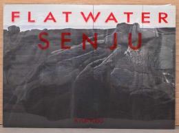 千住博画集　フラット　ウォーター SENJU : Flat Water